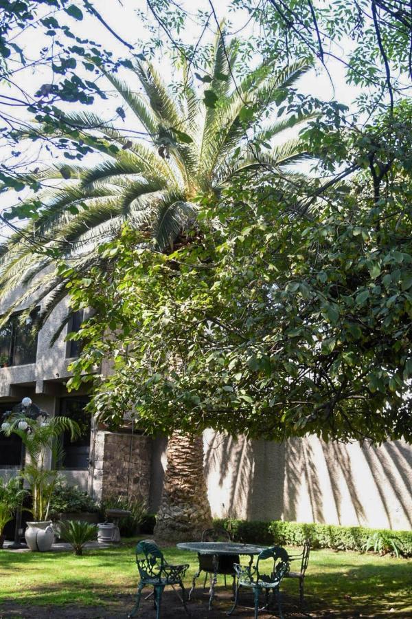 Casa Lulu Coyoacan Alvaro Obregon Exterior photo